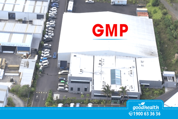 Nhà máy Goodhealth New Zealand đạt tiêu chuẩn GMP